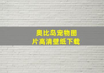 奥比岛宠物图片高清壁纸下载