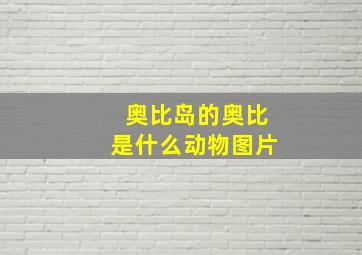 奥比岛的奥比是什么动物图片