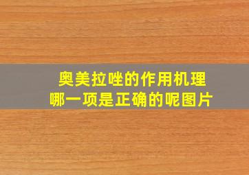 奥美拉唑的作用机理哪一项是正确的呢图片