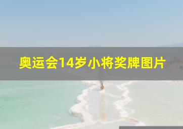 奥运会14岁小将奖牌图片