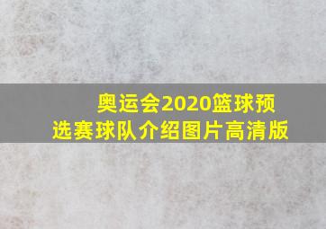 奥运会2020篮球预选赛球队介绍图片高清版