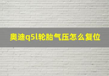 奥迪q5l轮胎气压怎么复位