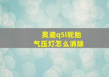 奥迪q5l轮胎气压灯怎么消除