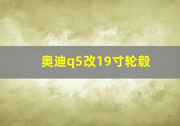 奥迪q5改19寸轮毂