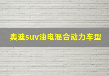 奥迪suv油电混合动力车型