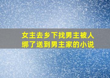 女主去乡下找男主被人绑了送到男主家的小说