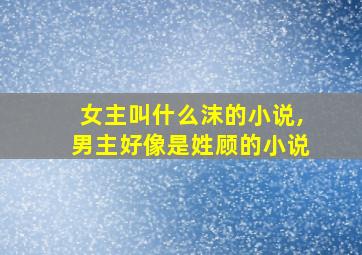 女主叫什么沫的小说,男主好像是姓顾的小说