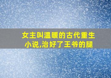 女主叫温暖的古代重生小说,治好了王爷的腿