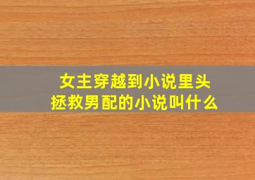 女主穿越到小说里头拯救男配的小说叫什么