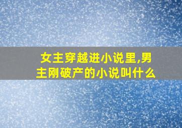 女主穿越进小说里,男主刚破产的小说叫什么