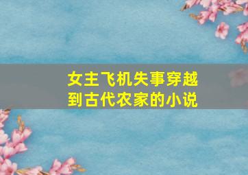 女主飞机失事穿越到古代农家的小说