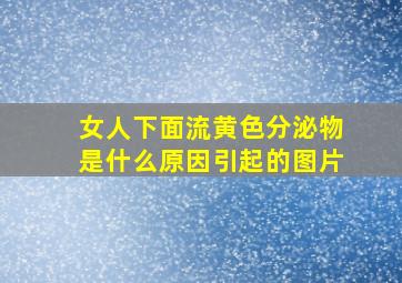 女人下面流黄色分泌物是什么原因引起的图片