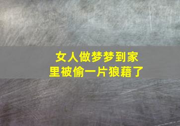 女人做梦梦到家里被偷一片狼藉了