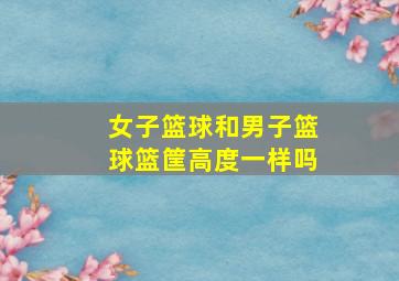 女子篮球和男子篮球篮筐高度一样吗