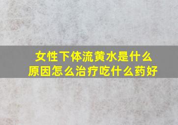 女性下体流黄水是什么原因怎么治疗吃什么药好