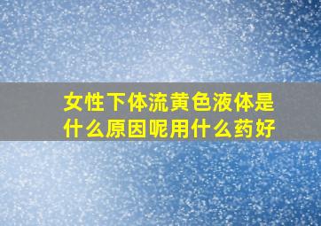 女性下体流黄色液体是什么原因呢用什么药好