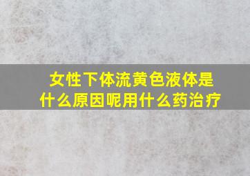 女性下体流黄色液体是什么原因呢用什么药治疗