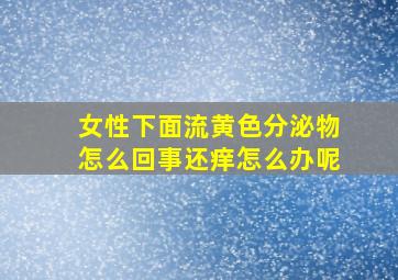 女性下面流黄色分泌物怎么回事还痒怎么办呢