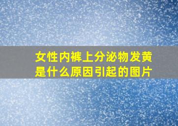 女性内裤上分泌物发黄是什么原因引起的图片