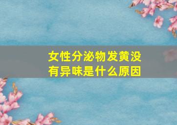 女性分泌物发黄没有异味是什么原因