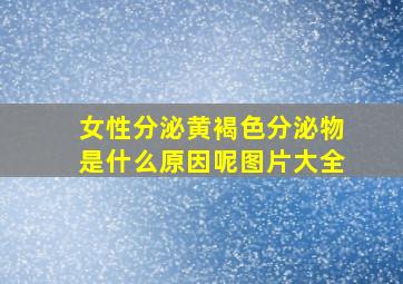 女性分泌黄褐色分泌物是什么原因呢图片大全