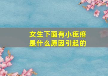 女生下面有小疙瘩是什么原因引起的