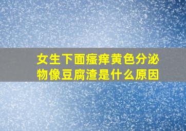 女生下面瘙痒黄色分泌物像豆腐渣是什么原因