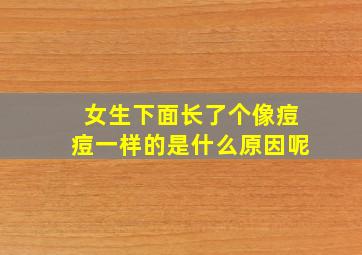 女生下面长了个像痘痘一样的是什么原因呢