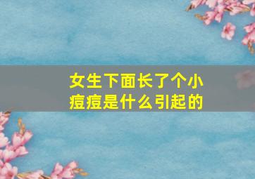 女生下面长了个小痘痘是什么引起的