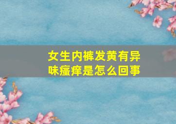 女生内裤发黄有异味瘙痒是怎么回事