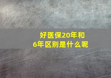 好医保20年和6年区别是什么呢