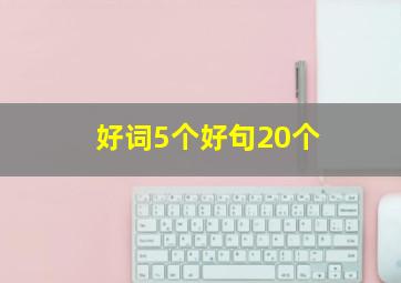 好词5个好句20个