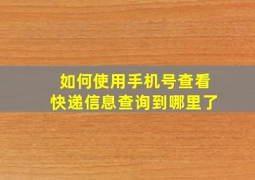 如何使用手机号查看快递信息查询到哪里了