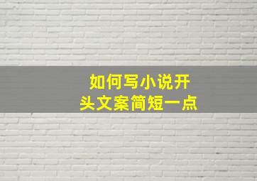 如何写小说开头文案简短一点