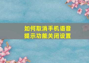 如何取消手机语音提示功能关闭设置