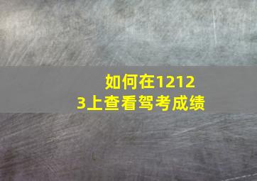 如何在12123上查看驾考成绩