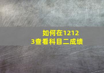 如何在12123查看科目二成绩