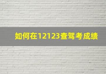 如何在12123查驾考成绩