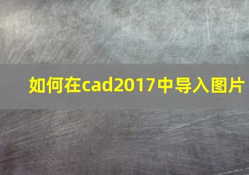 如何在cad2017中导入图片