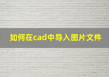 如何在cad中导入图片文件