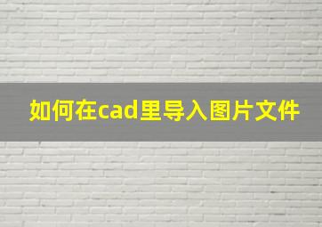 如何在cad里导入图片文件