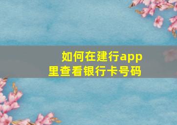 如何在建行app里查看银行卡号码