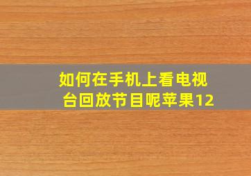 如何在手机上看电视台回放节目呢苹果12