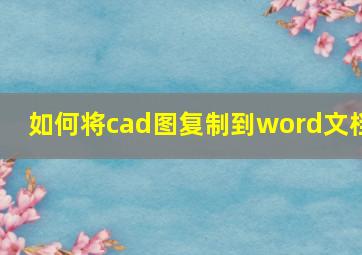 如何将cad图复制到word文档