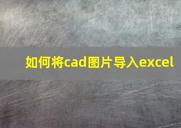 如何将cad图片导入excel