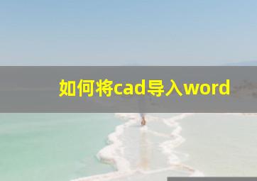 如何将cad导入word