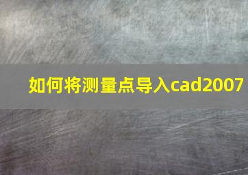 如何将测量点导入cad2007