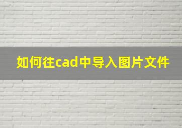 如何往cad中导入图片文件