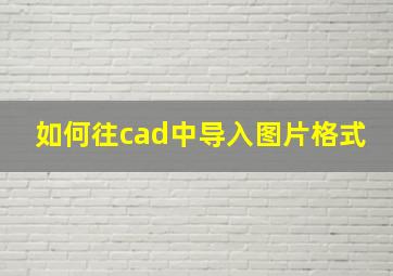 如何往cad中导入图片格式