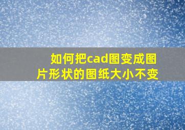 如何把cad图变成图片形状的图纸大小不变